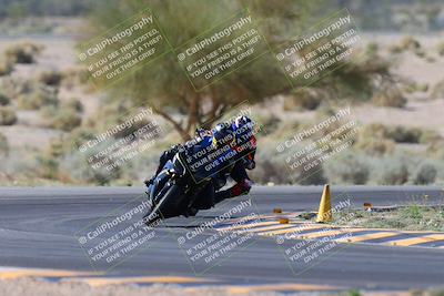 media/Apr-14-2024-SoCal Trackdays (Sun) [[70f97d3d4f]]/1-Turn 5 Tree of Life (920am)/